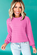 Sea Green Trendy Pattern Knit Ribbed Cuffs Crew Neck Sweater