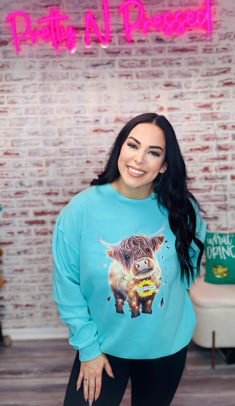 Move On Over PNP Sweatshirt