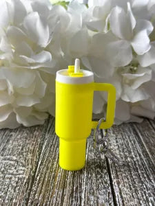 Water Bottle & Stanley Keychains