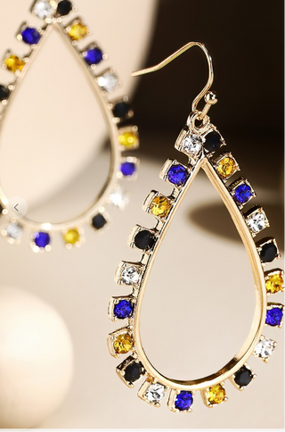 Made you Look Multi Earrings