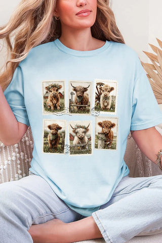 KBW Item Pastures & Postcards