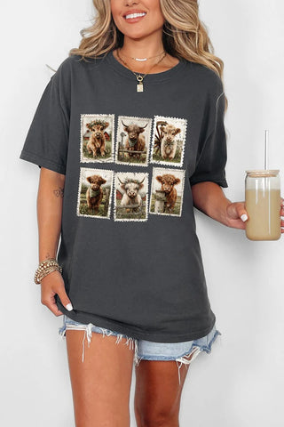 KBW Item Pastures & Postcards