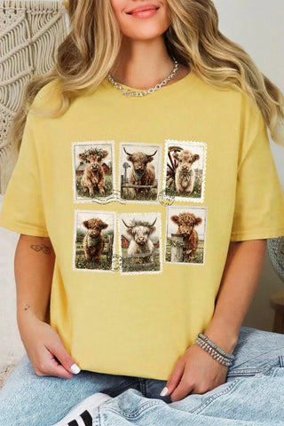 KBW Item Pastures & Postcards