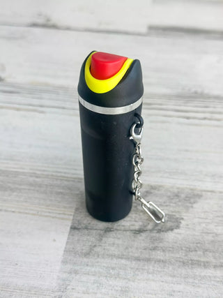 Water Bottle & Stanley Keychains