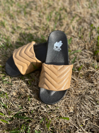 Jester Slides