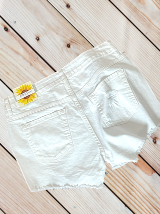 Jordan Shorts