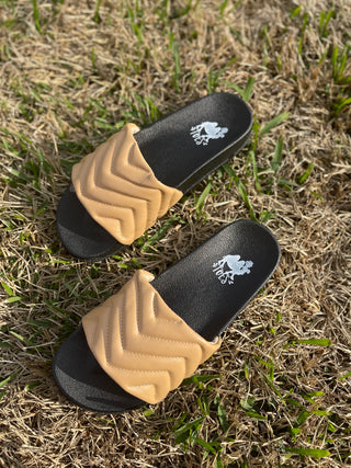 Jester Slides
