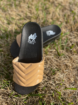 Jester Slides